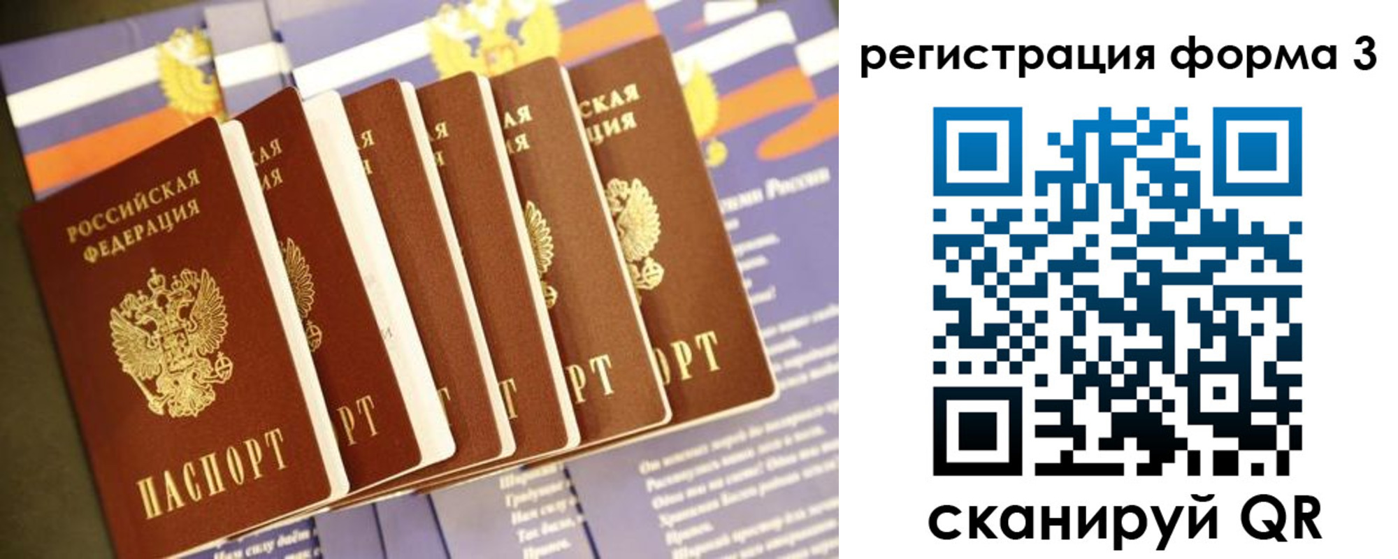 прописка поиск в Ростове