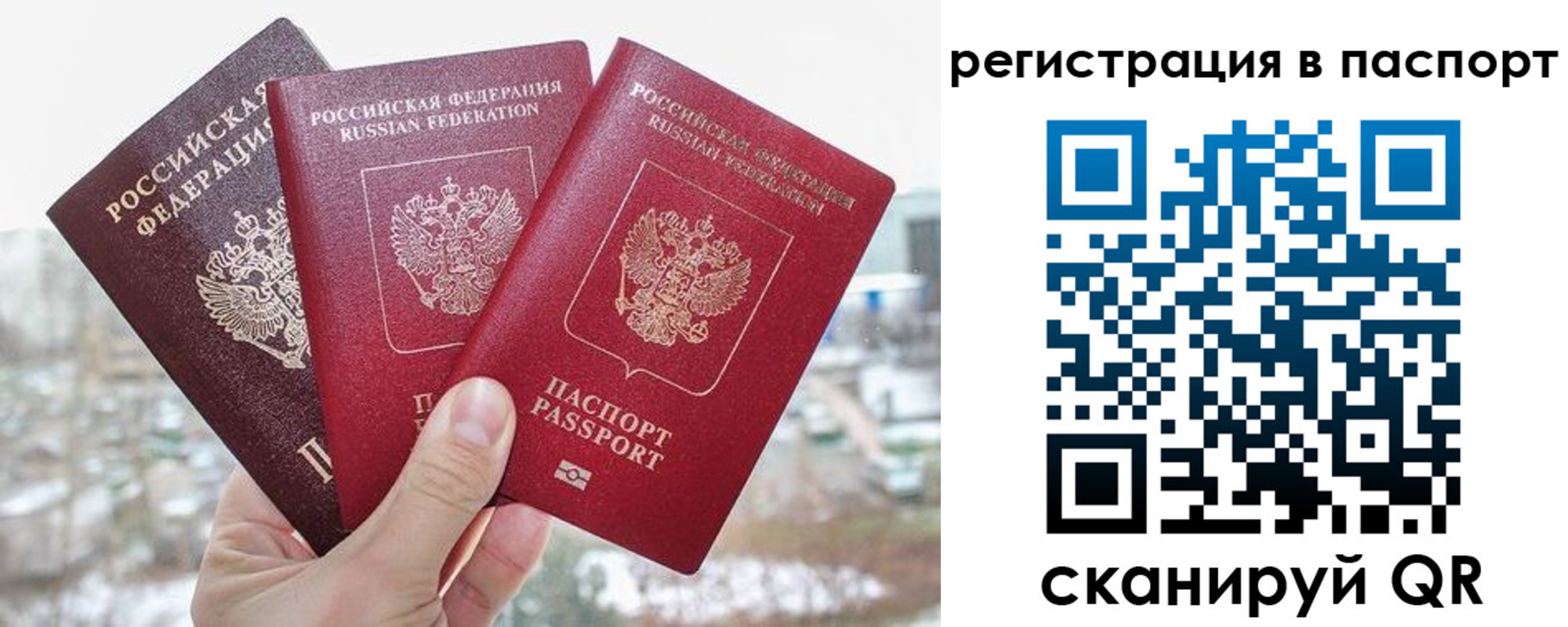 регистрация для школы в Ростове